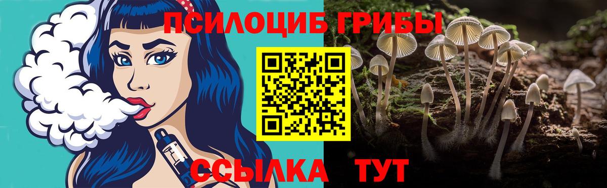 Галлюциногенные грибы Magic Shrooms Пушкино